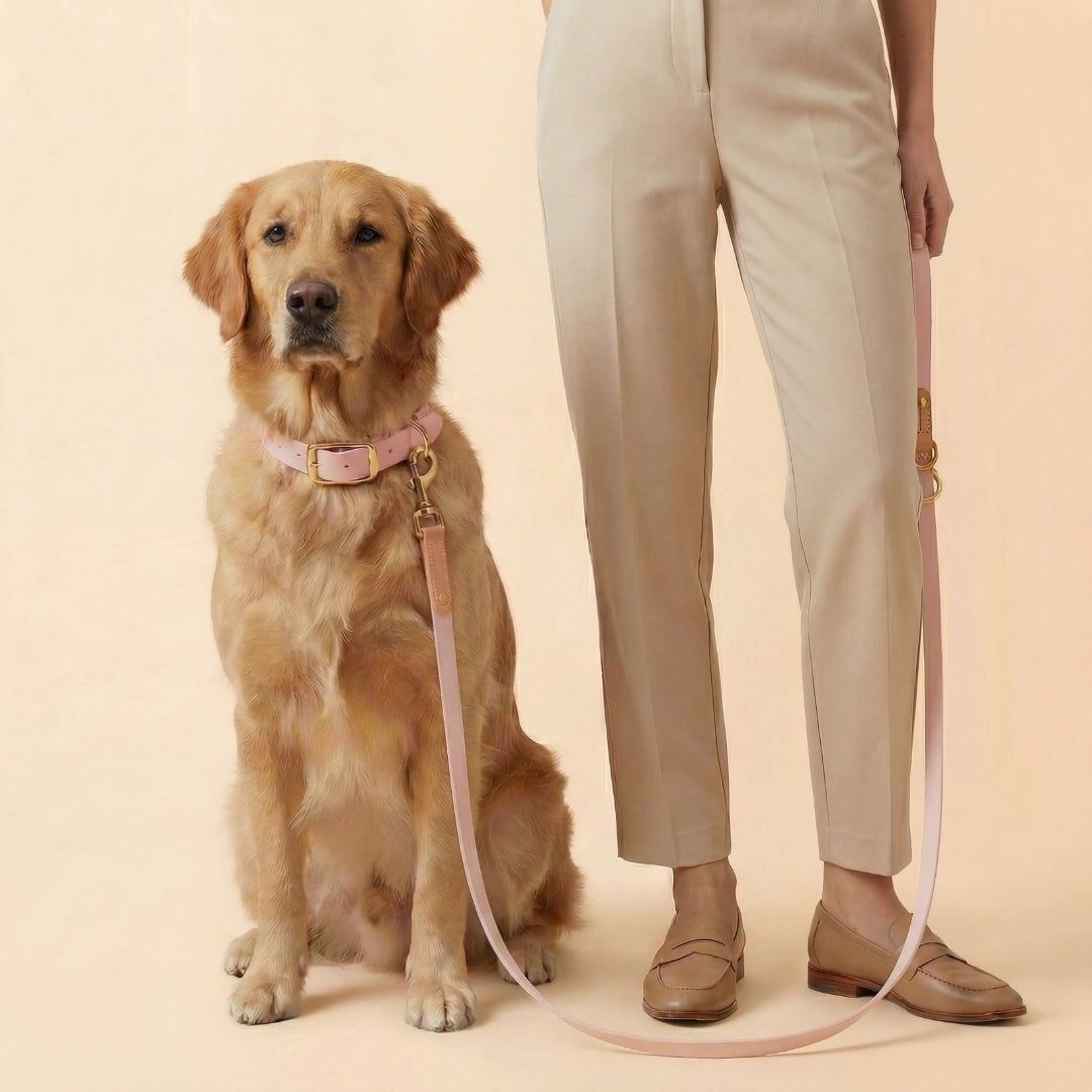 Multi-Way Leashes
