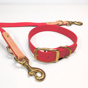 Premium Walk Set | Dog Harness, Leash & Collar - Red collar and leash with gold hardware and tan leather details on white background