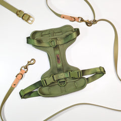 Premium Gassi Set | Hundegeschirr, Leine & Halsband - Grün - S