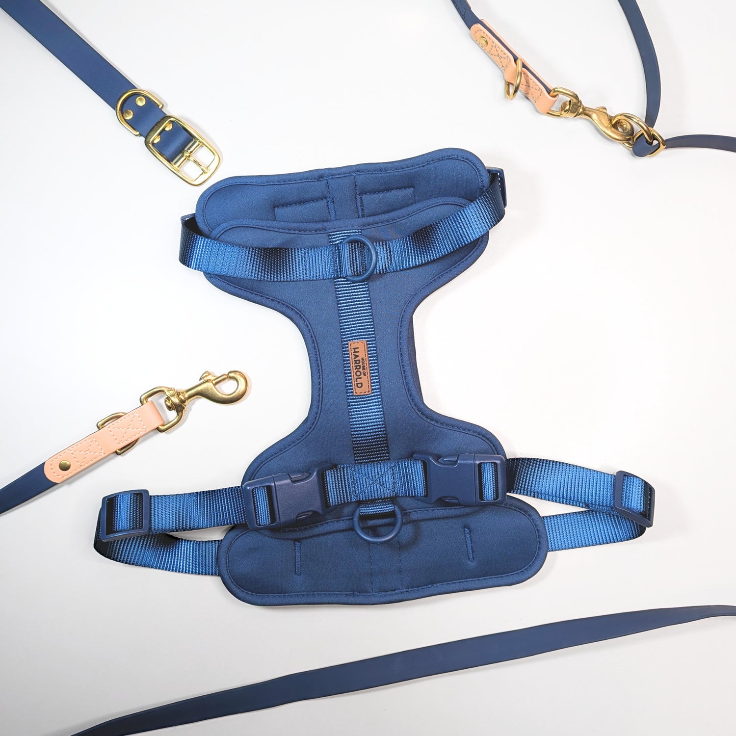 Premium Walk Set | Dog Harness, Leash & Collar - Blue with gold-tone clips and adjustable straps on white background