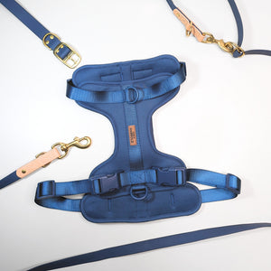 Premium Walk Set | Dog Harness, Leash & Collar - Blue with gold-tone clips and adjustable straps on white background