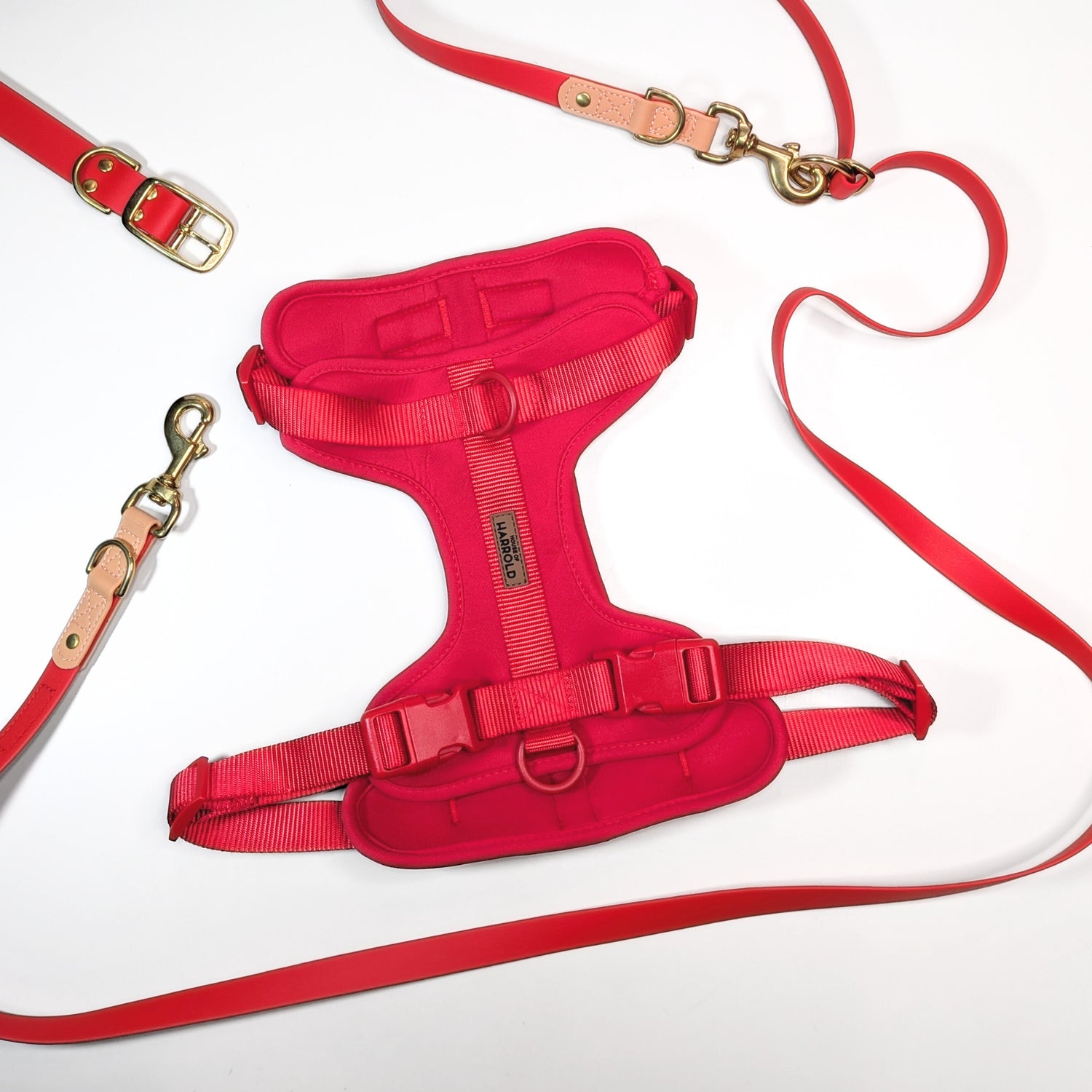Premium Walk Set | Dog Harness, Leash & Collar - Red harness with padded straps and leash featuring gold-tone hardware on white background