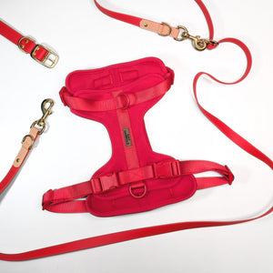 Premium Walk Set | Dog Harness, Leash & Collar - Red harness with padded straps and leash featuring gold-tone hardware on white background