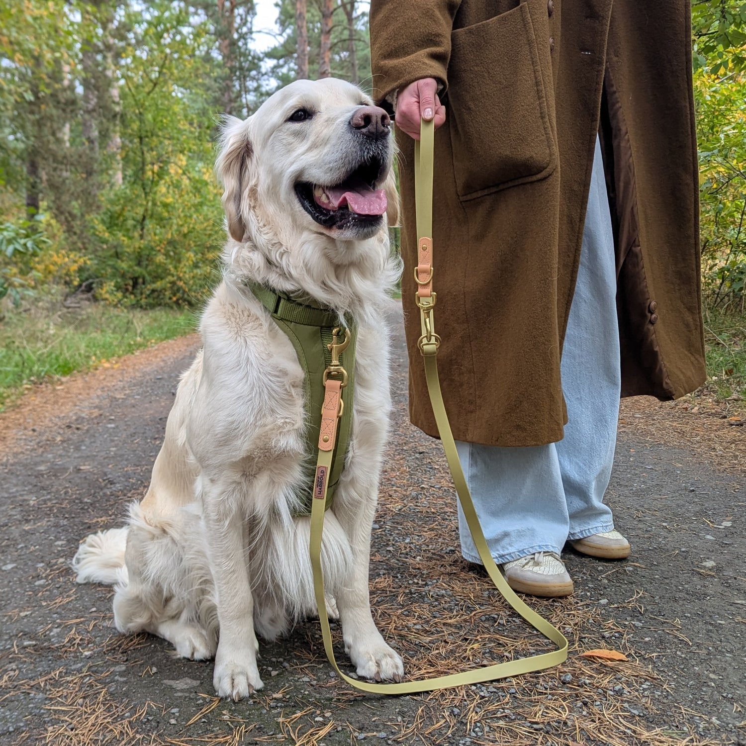 Golden retriever wearing an olive anti-pull harness with brass fittings, held on leash by person in brown coat in forest setting