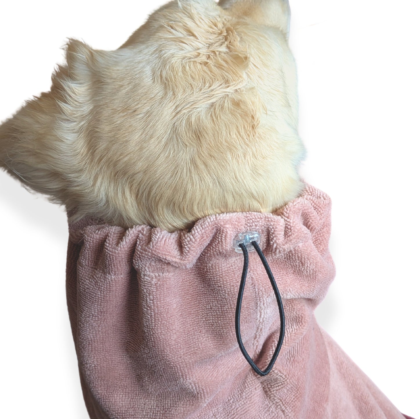 Light-colored dog wearing CloudSoft Bamboo Dry Robe - Rose with adjustable hood and soft plush fabric visible from back angle