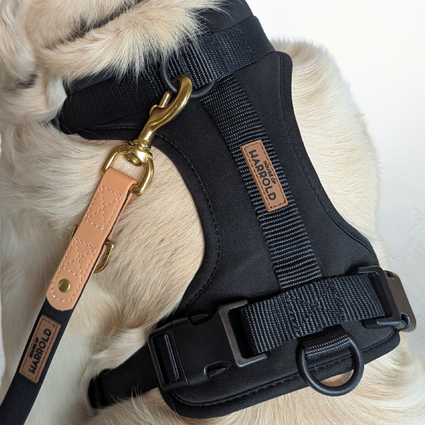 ComfortFit No-Pull Harness - Black with recyclable neoprene, brass hardware, and anti-pull design by House of Harrold for easy dog control