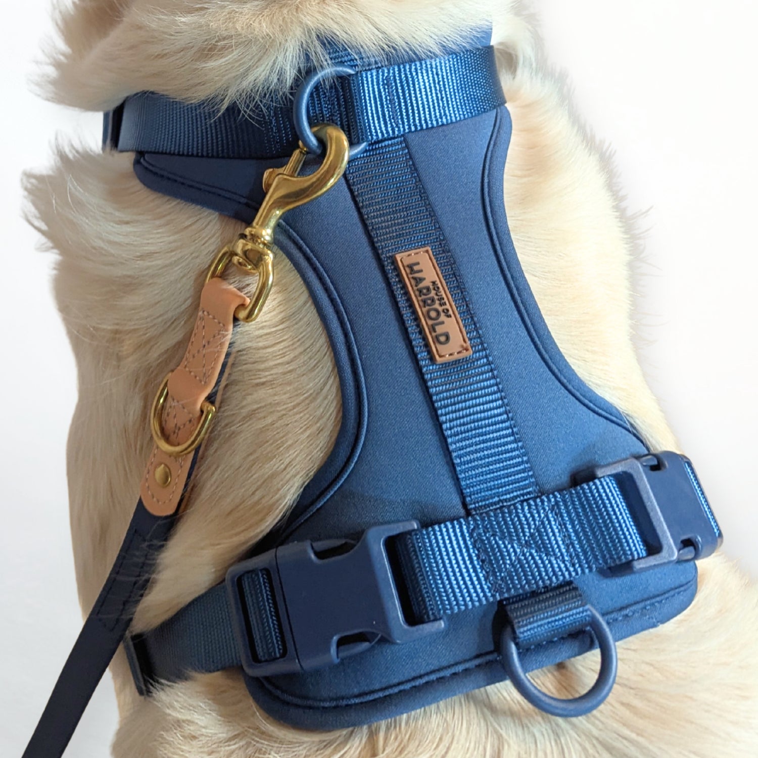 ComfortFit No-Pull Harness - Blue with neoprene, brass hardware, anti-pull tech by House of Harrold for effortless walks and lasting quality
