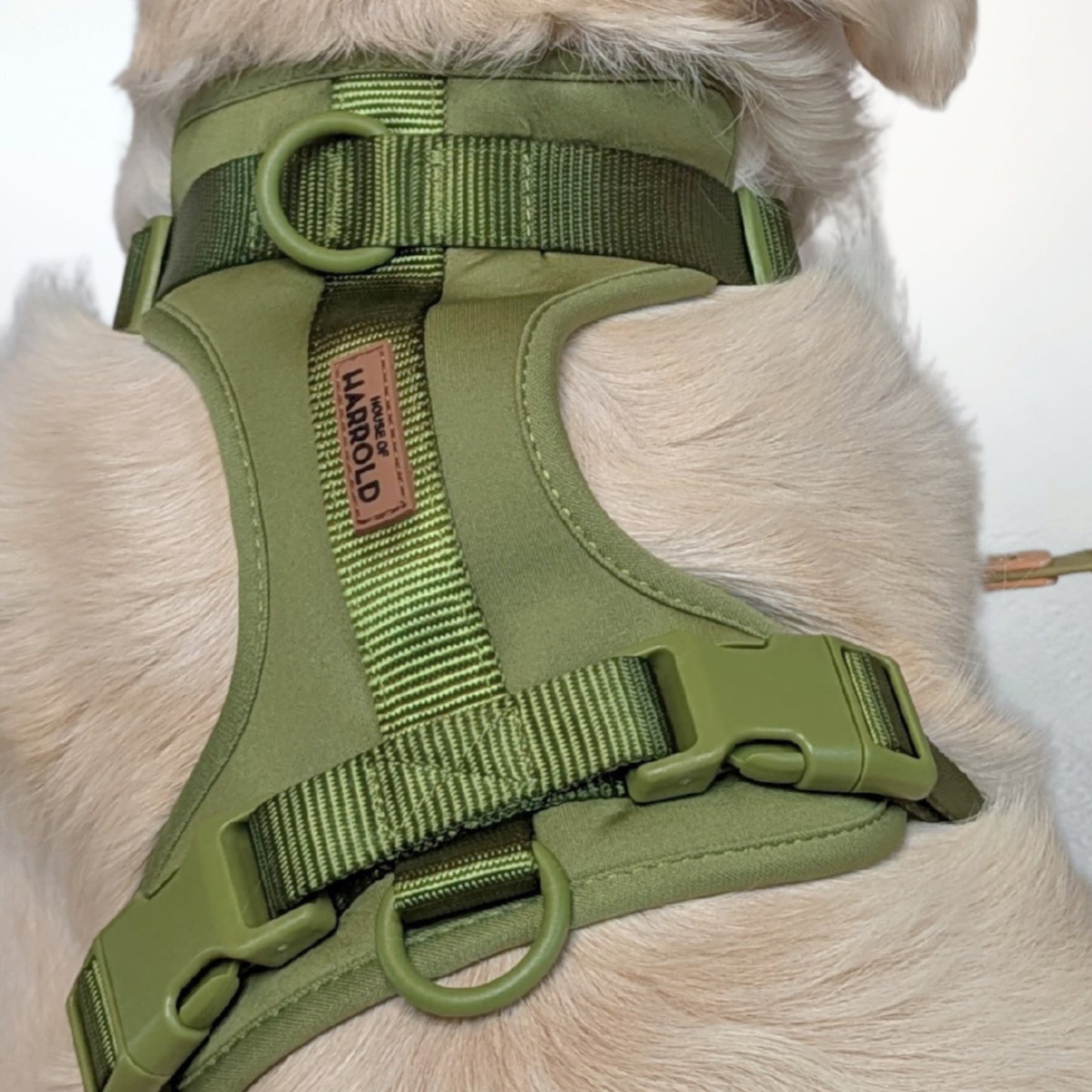 ComfortFit No-Pull Harness - Green with soft neoprene, plastic ABS hardware, anti-pull innovation by House of Harrold for lasting dog control