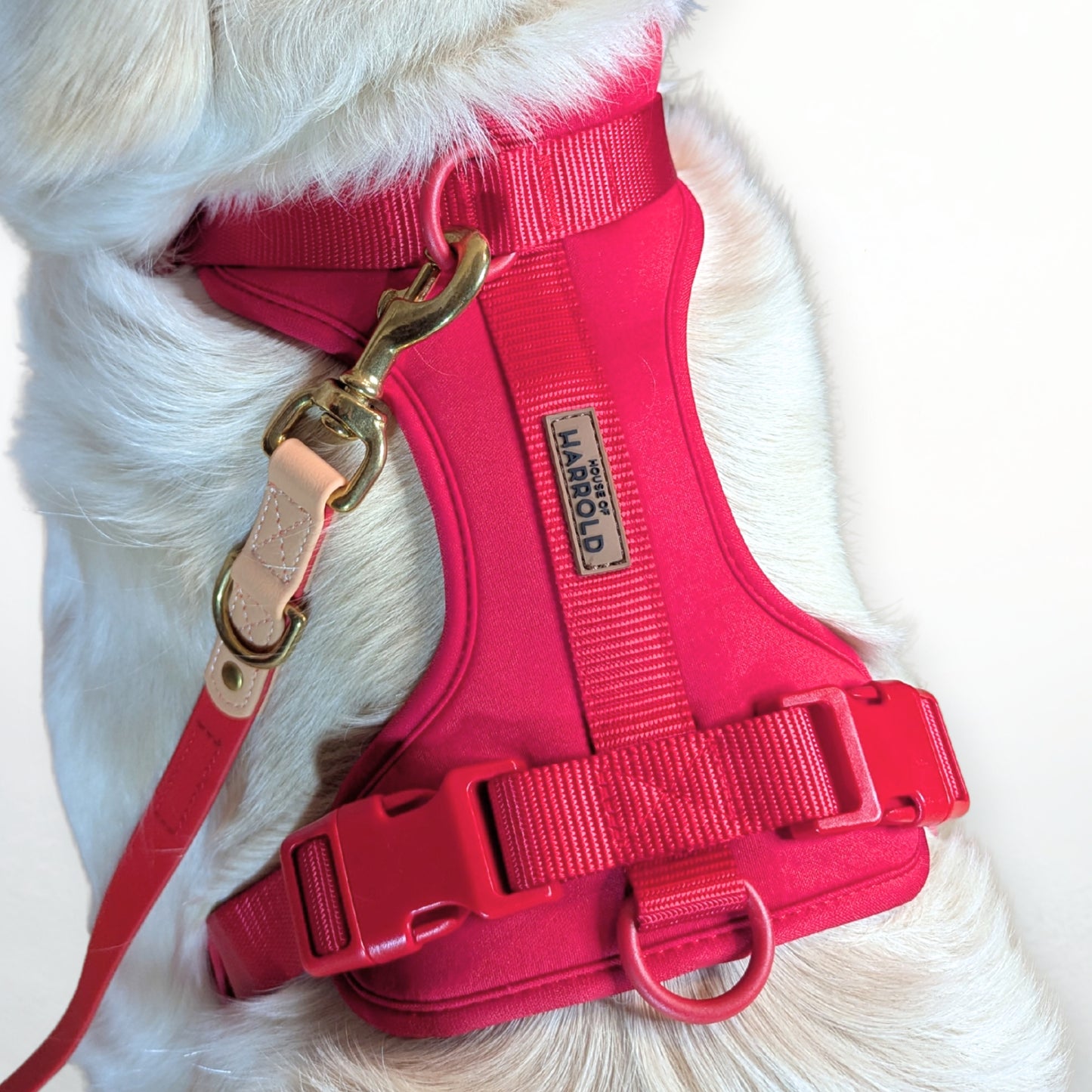 ComfortFit No-Pull Harness - Red with soft neoprene, brass hardware, anti-pull tech by House of Harrold for effortless dog control and walks