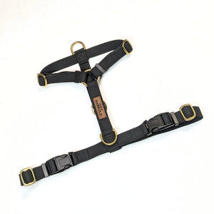 LoomLite No-Pull Waterproof Harness - Black with brass hardware, anti-pull technology, and high quality material by House of Harrold