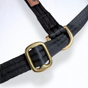 For thoughtful dog owners who want walks to feel calm, safe, and manageable.