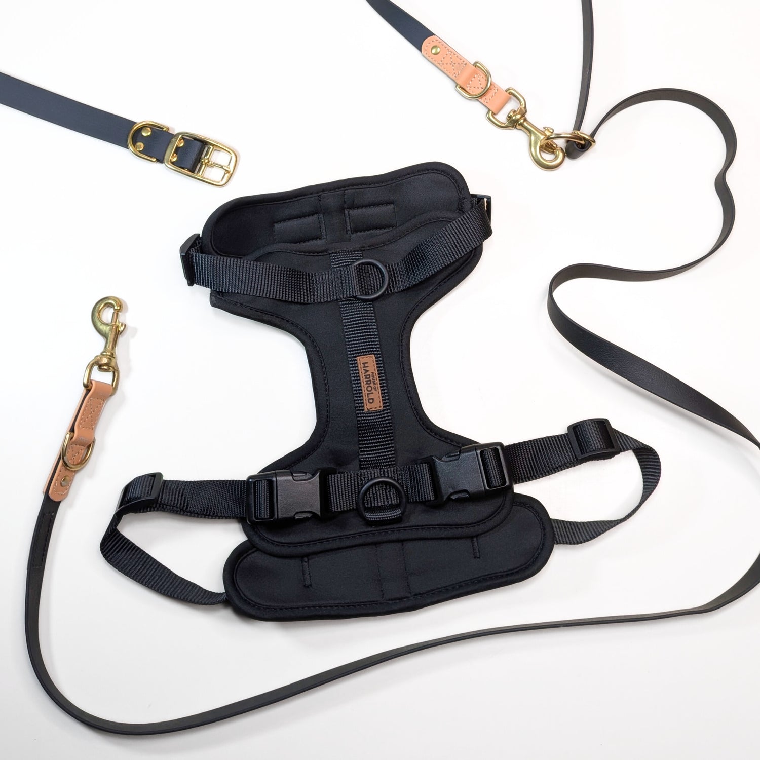 Premium Walk Set | Dog Harness, Leash & Collar - Black with gold hardware and leather accents on white background